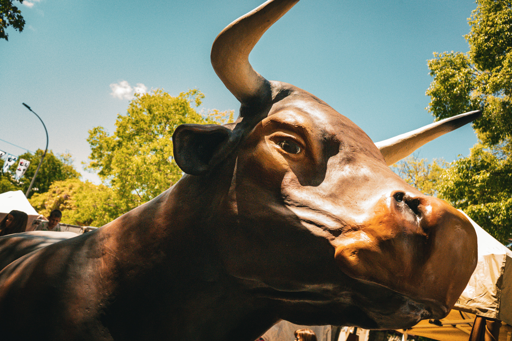 Fotografía Galería 2 19